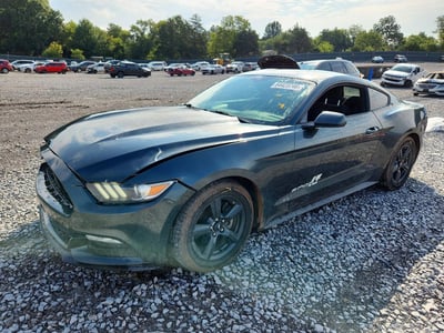 1FA6P8AMXF5****** 2015 Ford Mustang