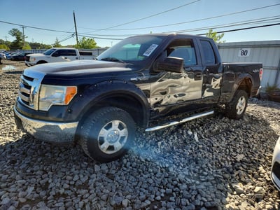 1FTFX1EV7AF****** 2010 Ford F-150