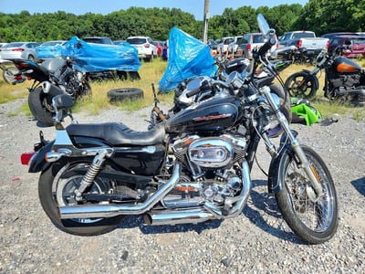 1HD1CGP1X5K****** 2005 Harley-Davidson XL 1200C