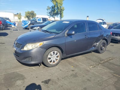 1NXBU40E39Z****** 2009 Toyota Corolla