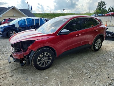 1FMCU0G67NU****** 2022 Ford Escape