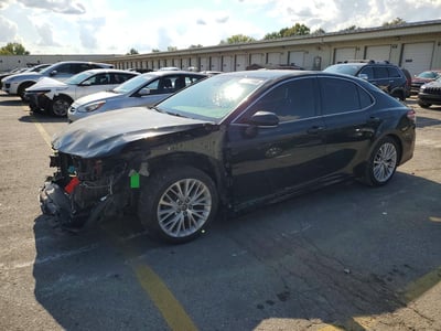 4T1F11AK9LU****** 2020 Toyota Camry