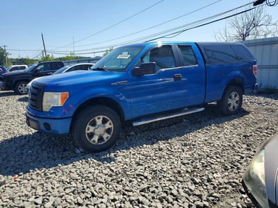 2010 Ford F-150