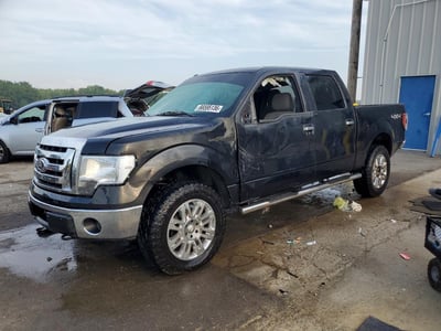 1FTFW1EV4AF****** 2010 Ford F-150