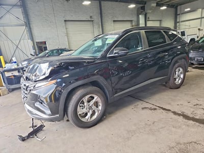 5NMJBCAE8PH****** 2023 Hyundai Tucson