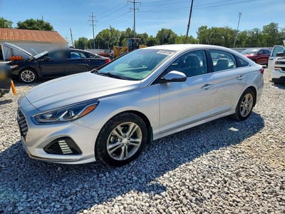 5NPE34AF8KH****** 2019 Hyundai Sonata