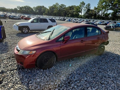 19XFA16569E****** 2009 Honda Civic