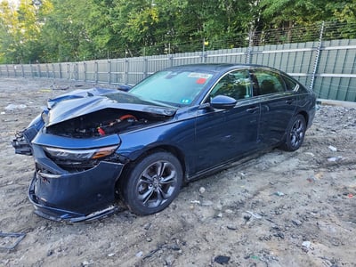 1HGCY2F6XRA****** 2024 Honda Accord Hybrid