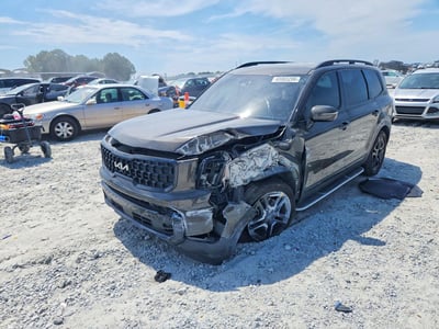 5XYP5DGC8RG****** 2024 Kia Telluride