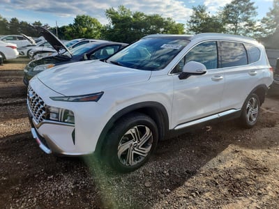 5NMS3DAJ3MH****** 2021 Hyundai Santa Fe