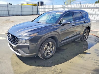 5NMS24AJ2PH****** 2023 Hyundai Santa Fe