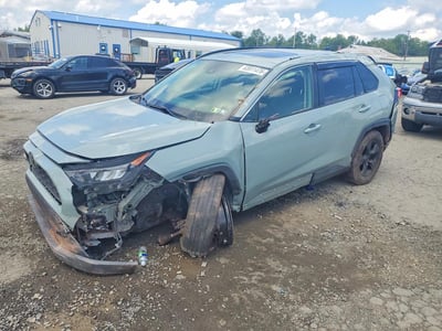 JTMP1RFV7KD****** 2019 Toyota RAV4