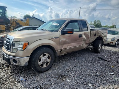 1FTFX1EF3BF****** 2011 Ford F-150
