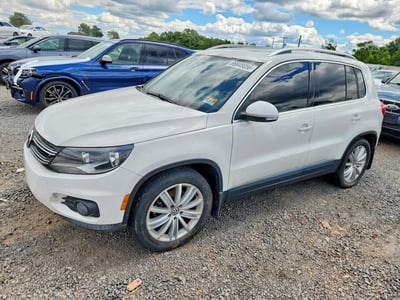 WVGBV7AX8DW****** 2013 Volkswagen Tiguan