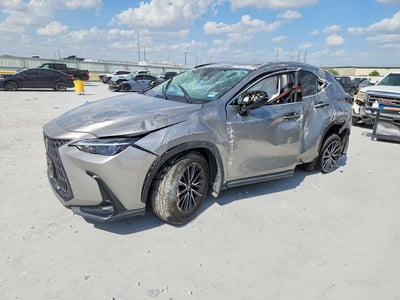 2024 Lexus NX