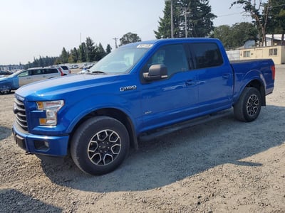 1FTEW1EP1GF****** 2016 Ford F-150