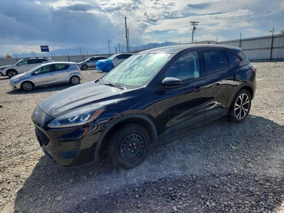 1FMCU0G66NU****** 2022 Ford Escape