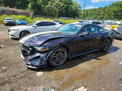 1FA6P8TH8P5****** 2023 Ford Mustang