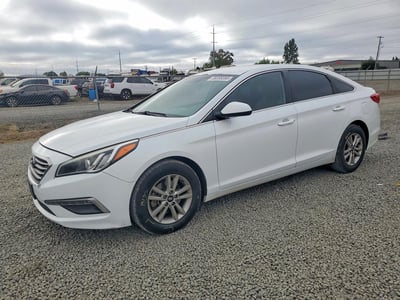 5NPE24AF3FH****** 2015 Hyundai Sonata