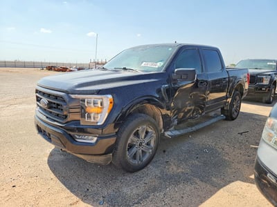 1FTFW1ED1PF****** 2023 Ford F-150