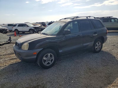 2004 Hyundai Santa Fe