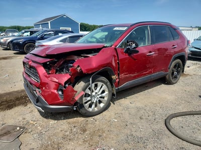JTMN1RFV1KD****** 2019 Toyota RAV4