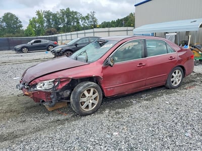1HGCM66525A****** 2005 Honda Accord