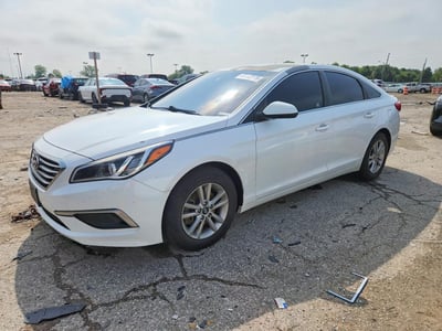 5NPE24AF4GH****** 2016 Hyundai Sonata