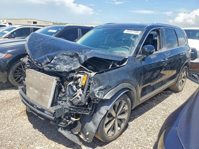 5XYP6DHC6NG****** 2022 Kia Telluride