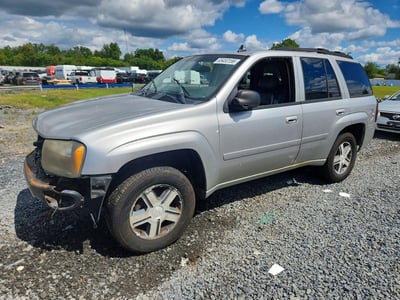 1GNDT13S462****** 2006 Chevrolet Trailblazer