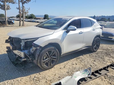 JTJHKCFZ6R2****** 2024 Lexus NX
