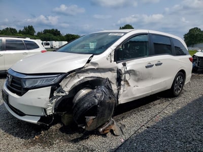 5FNRL6H66PB****** 2023 Honda Odyssey