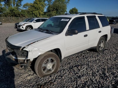 2007 Chevrolet Trailblazer