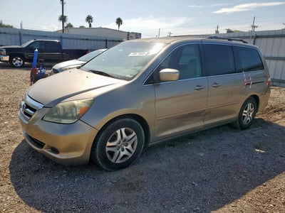 5FNRL38785B****** 2005 Honda Odyssey