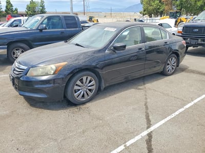 2011 Honda Accord