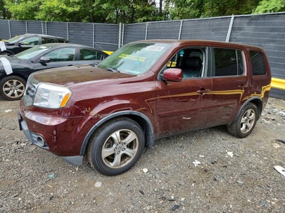 5FNYF4H77DB****** 2013 Honda Pilot