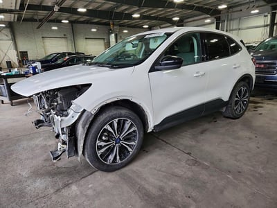 1FMCU9G61MU****** 2021 Ford Escape