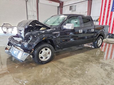 1FTRW12859F****** 2009 Ford F-150
