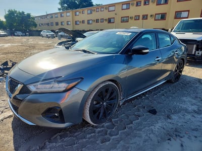 1N4AA6FV1LC****** 2020 Nissan Maxima