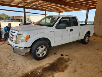 2010 Ford F-150