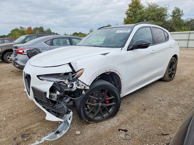 ZASPAKBN2M7****** 2021 Alfa Romeo Stelvio
