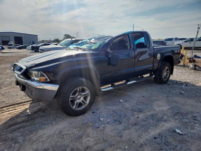 1D7HG48N34S****** 2004 Dodge Dakota