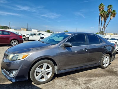 4T1BF1FK7DU****** 2013 Toyota Camry