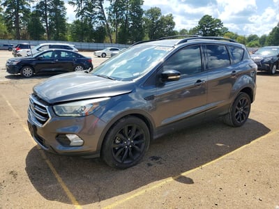 1FMCU0J98HU****** 2017 Ford Escape