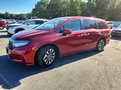 5FNRL6H67RB****** 2024 Honda Odyssey