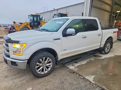 1FTEW1EG4FF****** 2015 Ford F-150