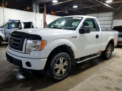 1FTRF14W29K****** 2009 Ford F-150