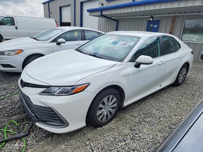 4T1C31AKXRU****** 2024 Toyota Camry Hybrid
