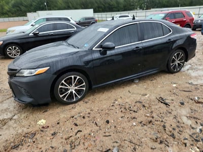 4T1G11AK2LU****** 2020 Toyota Camry
