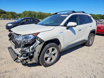 4T3D6RFV1MU****** 2021 Toyota RAV4